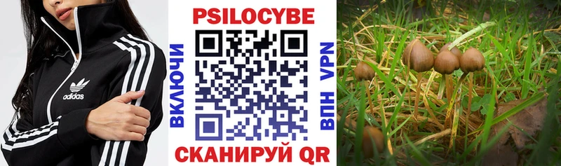 Галлюциногенные грибы прущие грибы  купить наркотик  Котельнич 